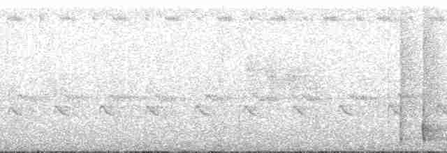 brillevanga (chabert) - ML95626