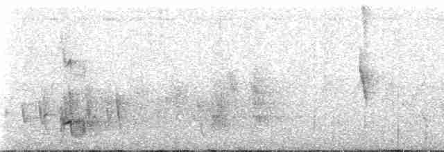 brillevanga (chabert) - ML95628