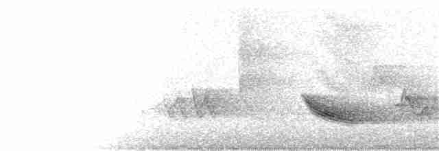 Дрізд-короткодзьоб бурий - ML95660401