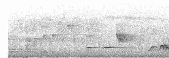 Kara Başlı Vanga (eduardi) - ML95690