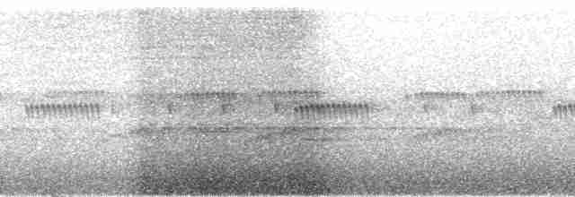 Сплюшка мадагаскарська (підвид rutilus) - ML95696