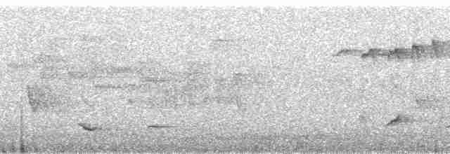 Kara Başlı Vanga (eduardi) - ML95715