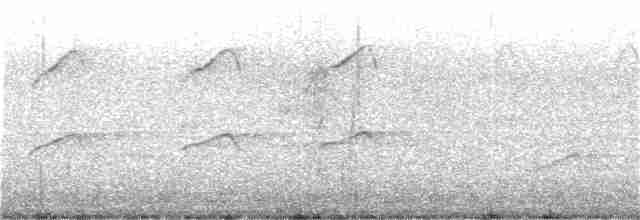 Swallow-tailed Kite - ML95715751