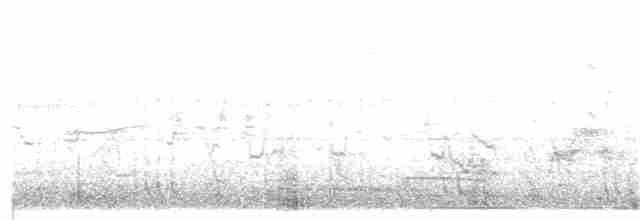 Weißbrust-Ameisenwürger - ML95728331
