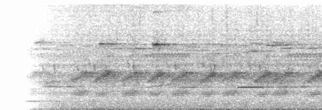 Сплюшка мадагаскарська (підвид rutilus) - ML95733