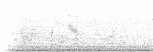 Eastern Meadowlark (Eastern) - ML95735441