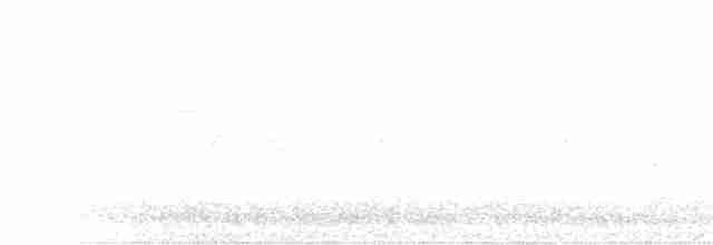 Savannah Serçesi [sandwichensis grubu] - ML95736141