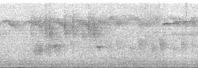 sovimangasolfugl (sovimanga) - ML95741