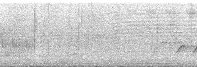 Kara Başlı Vanga (eduardi) - ML95746