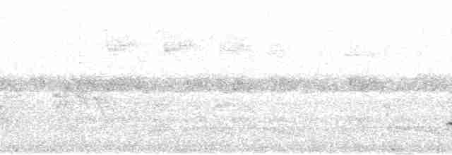 Kara Başlı Vanga (eduardi) - ML95782