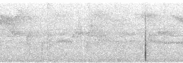 Kara Başlı Vanga (eduardi) - ML95851