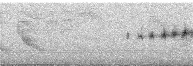 Prairie Warbler - ML95924471