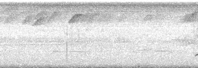 Kara Başlı Vanga (eduardi) - ML95925