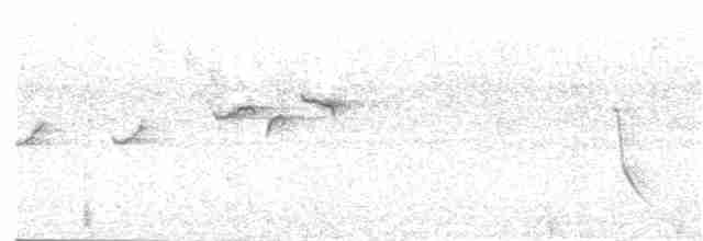 Лесной ложнокрапивник - ML95929701