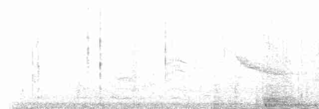Common Gallinule - ML95952011
