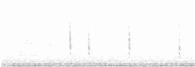 Iberien-Bartgrasmücke - ML96048061