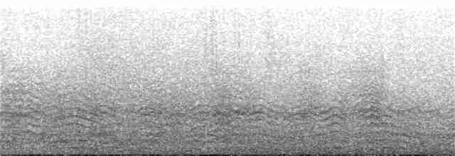 Pipit antarctique - ML96098611