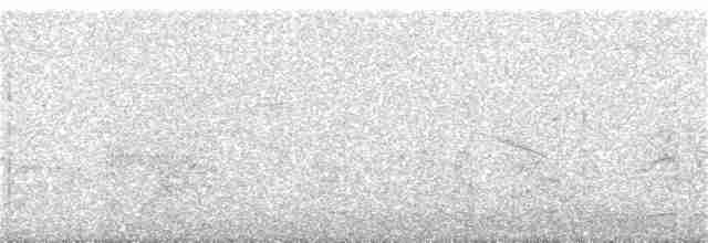 Анумбі чубатий - ML96131201