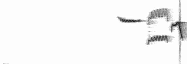 Agateador Americano (montana/idahoensis) - ML96145451