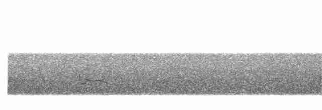 Короткоклювый бекасовидный веретенник - ML96157791