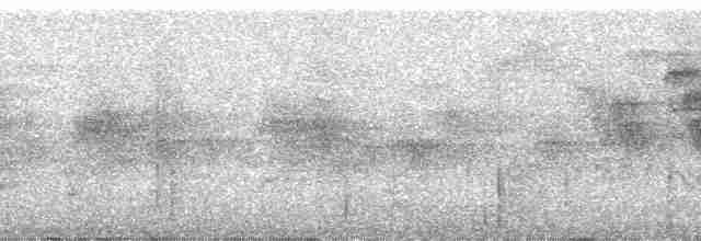 Schwarzscheitel-Brillenvogel - ML96200