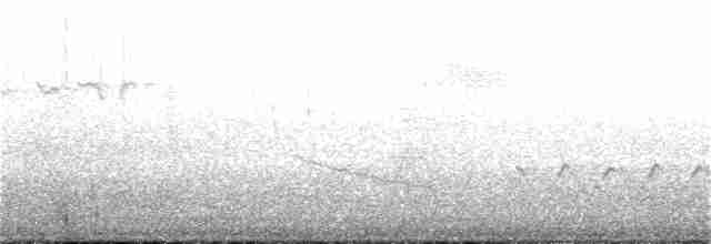 Каролинский крапивник - ML96201411