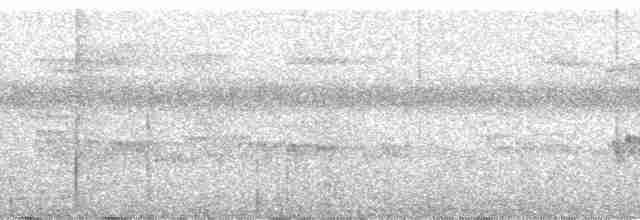 Schwarzscheitel-Brillenvogel - ML96211