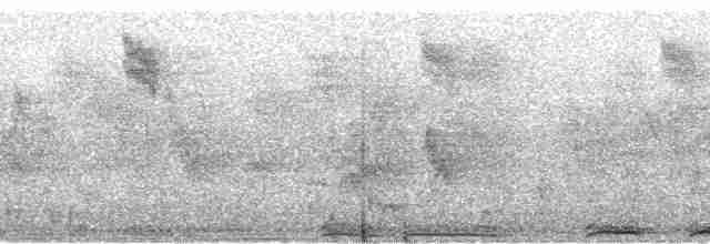 יונת ענק (קבוצה לבנת-צוואר) - ML96271