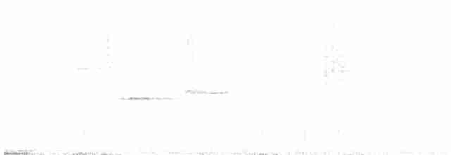 Дрізд-короткодзьоб андійський - ML96304831