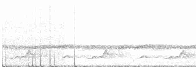 Schwarzkehl-Nachtschwalbe - ML96354951