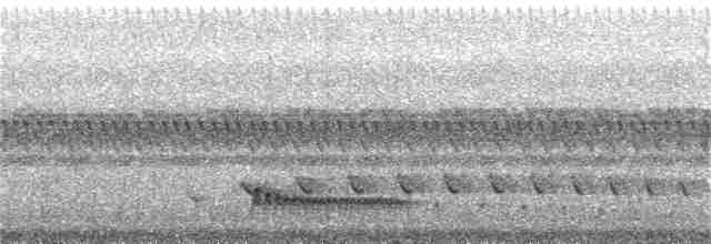 Gri Başlı Todi Sinekkapanı - ML96366121