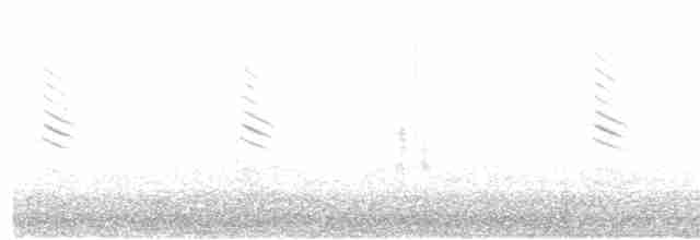 hvithodehonningskvett - ML96368581