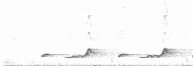Schwarzkehl-Nachtschwalbe - ML96387771