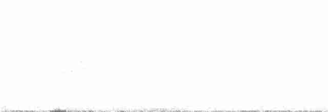 Дрізд-короткодзьоб плямистоволий - ML96449371