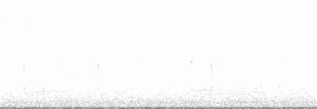Триперстка тонкодзьоба - ML96518921