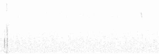 Ornate Tinamou - ML96526111