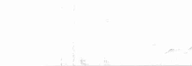 Яструб сірочеревий - ML96667901