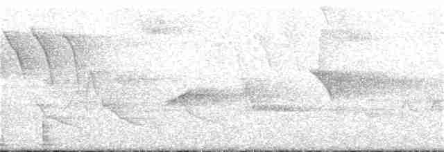 Голубокрылая червеедка - ML96733621