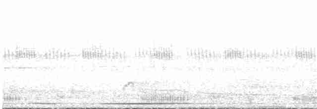 guan bělohlavý - ML96738641