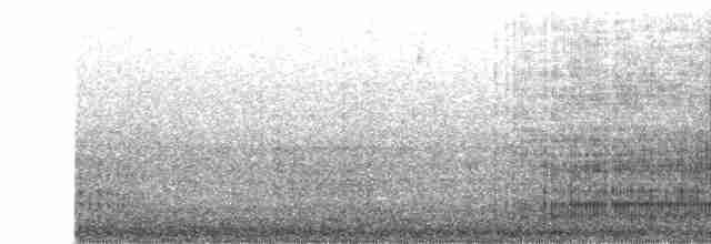 Красноногая олуша (rubripes) - ML96876