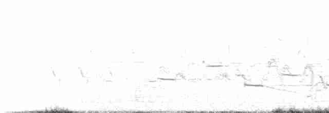 Western Meadowlark - ML96916911