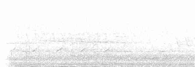 Kara Gözlü Junko (hyemalis/carolinensis) - ML96921111