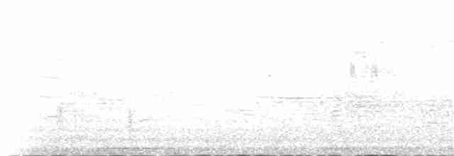 vlhovec lesklý (ssp. versicolor) - ML96930621