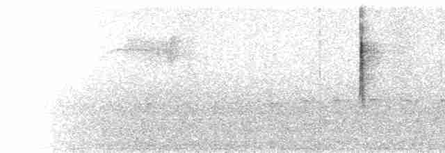 Black-throated Green Warbler - ML96932531