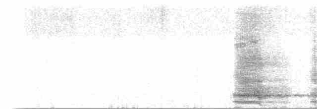 Cuervo Grande - ML96948061