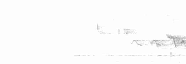 Kara Kanatlı Piranga - ML97015031
