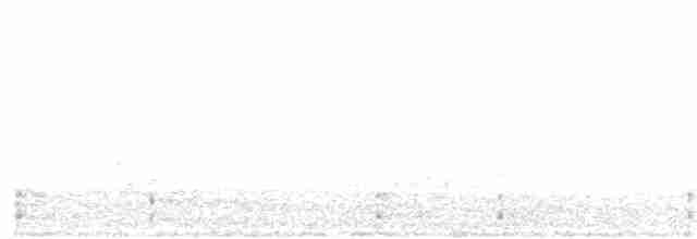 jeřábek kanadský - ML97051841