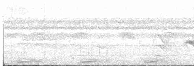 Toucanet de Gould - ML97059101