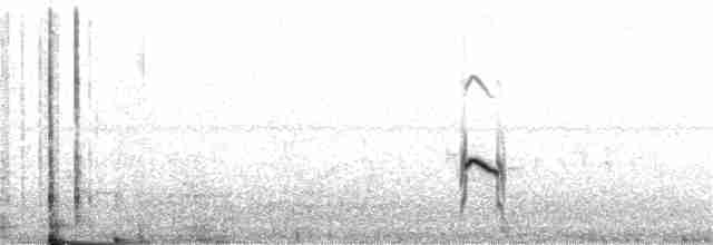 Long-billed Plover - ML97061101