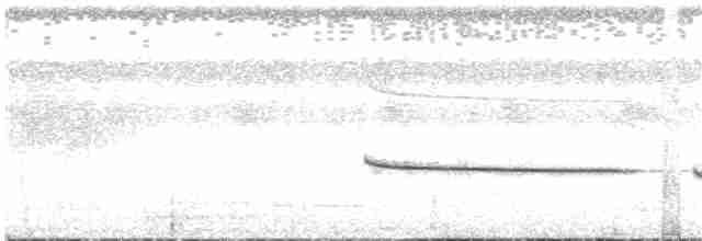 Boz Kanatlı Şiforn - ML97061111